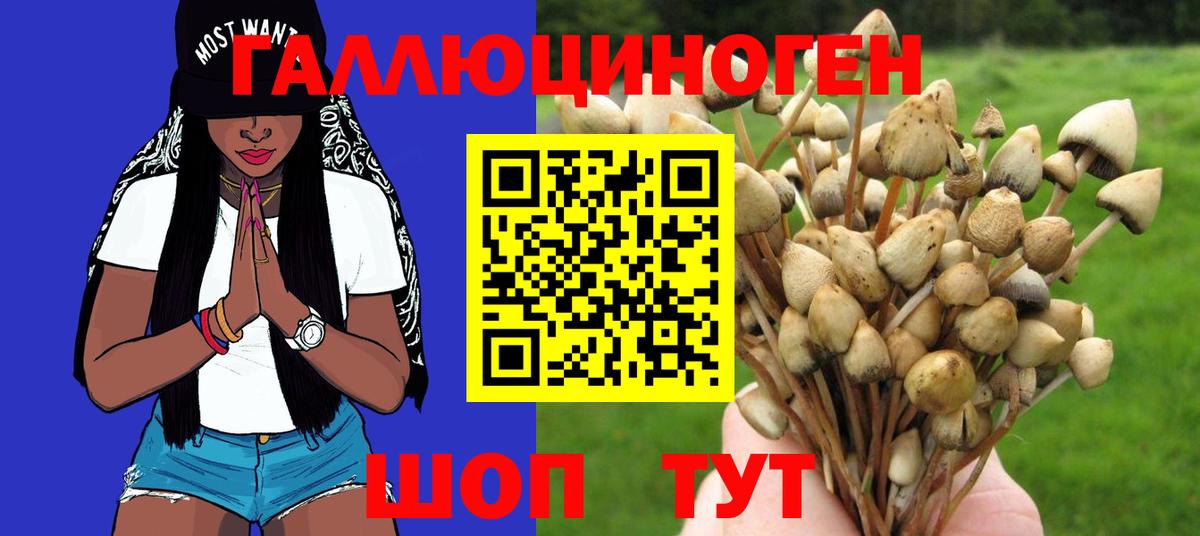Апатиты  Псилоцибиновые грибы Magic Shrooms  Вход с VPN  Галлюциногенные грибы мицелий 